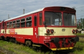 810 013-3