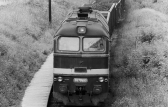 781 077-3