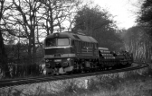 T679.1194