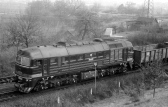 781 346-2