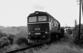 781 565-7