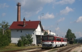 813 017-5