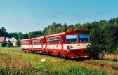 810 007-5