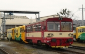 810 664-3