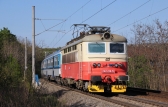 242 214-5