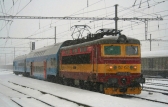 242 233-5
