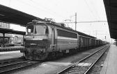 S499.0024