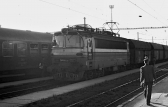 S499.0026