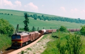 781 456-9