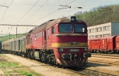781 585-5