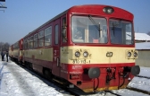 810 113-1