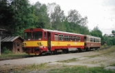 810 244-4