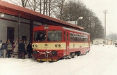 810 309-5