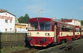 810 009-1