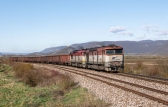 751 206-4